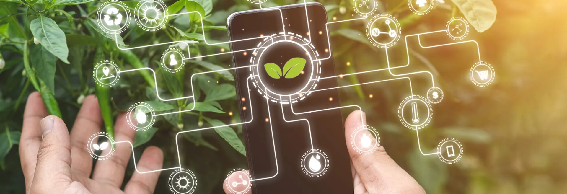 Geospatial intelligence for impact